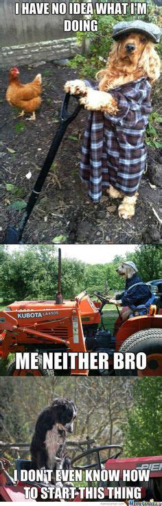 77 Farming memes ideas | farm humor, bones funny, country quotes