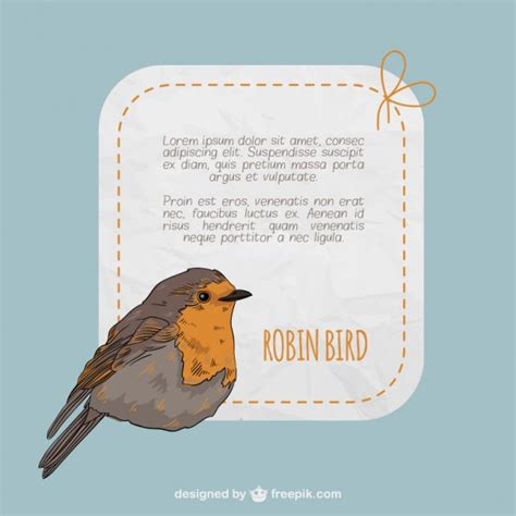 Premium Vector Robin Bird Label Template