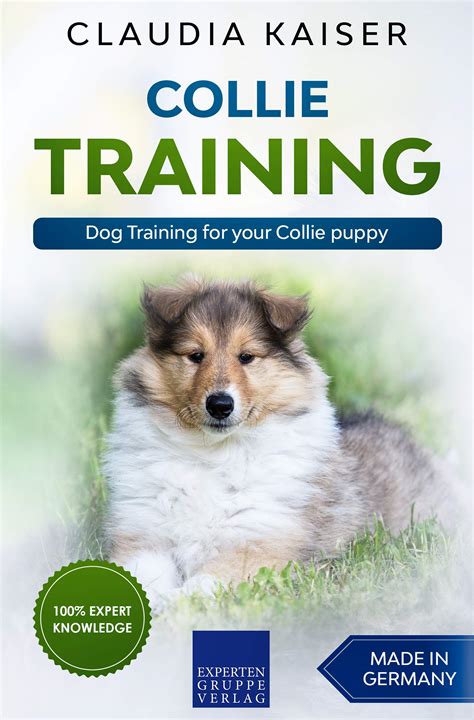 Collie Training: Dog Training for your Collie puppy by Claudia Kaiser ...