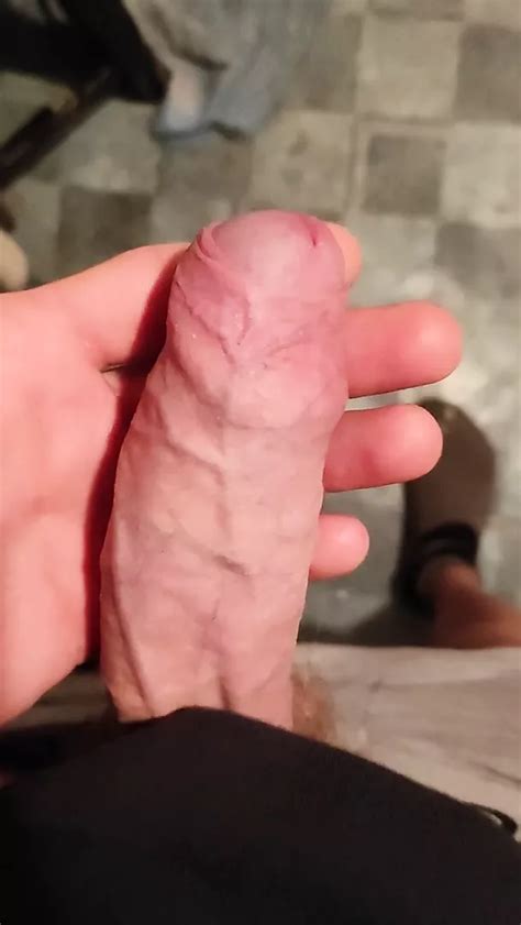 Horny Cock XHamster