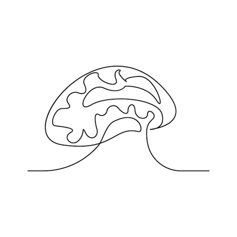 Premium Vector Vector Continuous Line Drawing Of A Human Brain For Medical Design On White