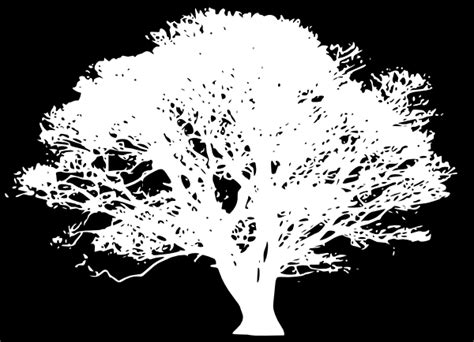 White Tree Silhouette Wallpaper - WallpaperSafari