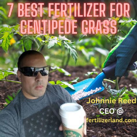 Best Fertilizer For Centipede Grass 2023 And Buyers Guide