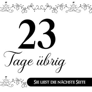 Sex Adventskalender Erotischer Adventskalender Mit Sexspielen F R Paare Weihnachtsbuch F R