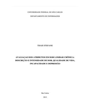 Preench Vel Dispon Vel Bdtd Ufscar Avaliaao Dos Atributos Em Dor Lombar