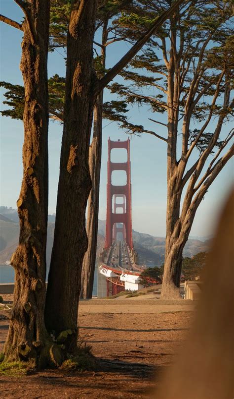 25 Lugares Imprescindibles Que Ver En San Francisco Ciudad De San