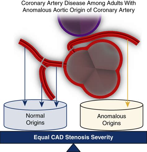 Coronary The American Association For Thoracic Surgery AATS