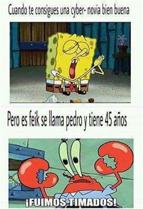 Los Mejores Memes Bob Esponja La Historia Siempre Erizos