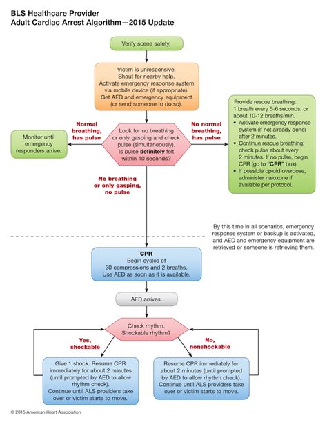 Pals Pediatric Cardiac Arrest Algorithm Hot Sex Picture