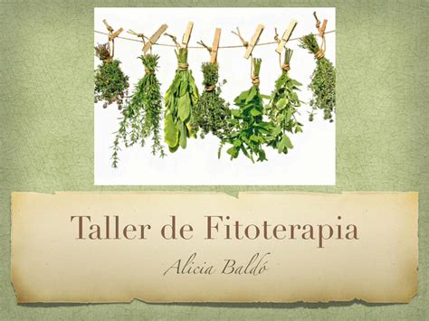 Pdf Taller Fitoterapia Eulen Nutripharm Fitoterapia Plantas