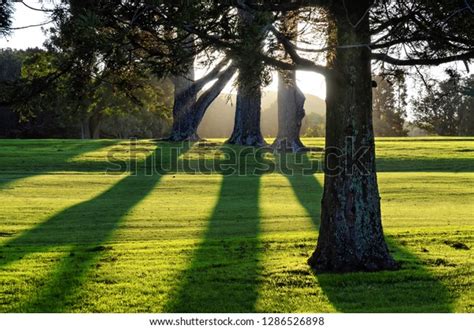 1 Akarana Golf Club Images, Stock Photos & Vectors | Shutterstock