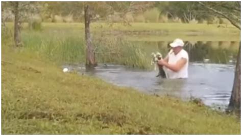 Florida Man Jumps Into Pond To Rescue Puppy From Jaws Of Alligator