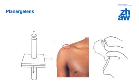 Grundlagen Der Biomechanik Flashcards Quizlet