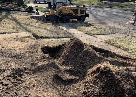 Tree Stump Grinding And Removal Jims Tree Service Levittown Pa