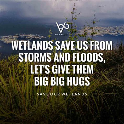 Wetlands Save Us From Storms And Floods Lets Give Them Big Big Hugs