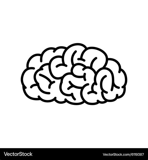 Outline Human Brain Royalty Free Vector Image Vectorstock