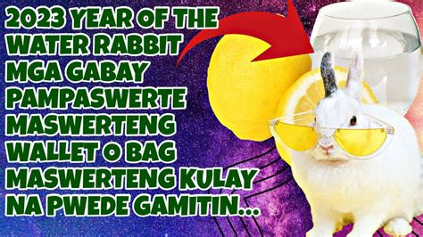 2023 YEAR OF THE WATER RABBIT MGA MAHAHALAGANG PAALALA MASWERTENG