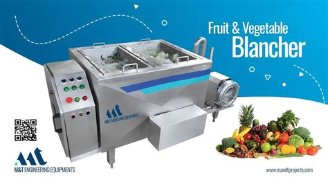 Batch Type Vegetable And Fruit Washer Two Basket Model Bubble Washer