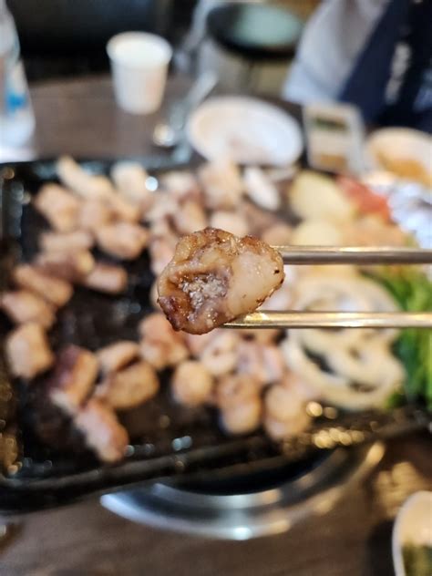 경기도 수원 맛집 또간집 풍자맛집 곡반정동 정철황소곱창 곱가득 고소한 곱창구이 맛집 네이버 블로그