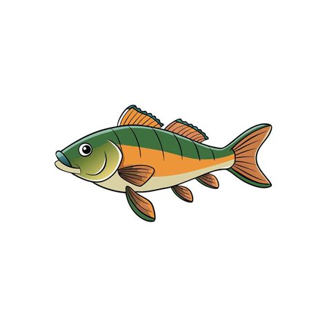 cartoon illustration depicts  colorful freshwater fish swimming