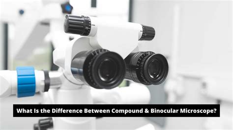 What Is The Difference Between Compound And Binocular Microscope Microscope Manufacturer And Supplier