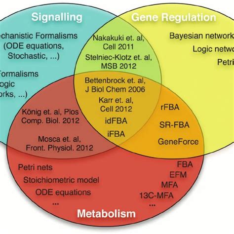 Schematic Of The Interconnection Among Signalling Gene Regulation And