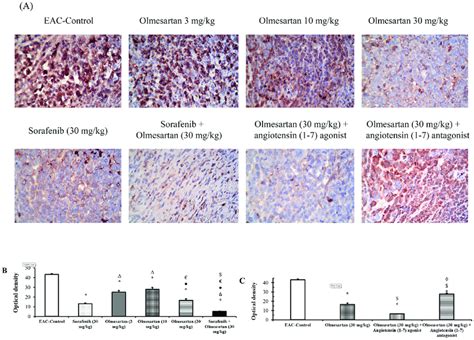 Immunostaining And Optical Density Of Cd Expression A