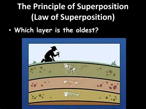 Law Of Superposition Rock Layers