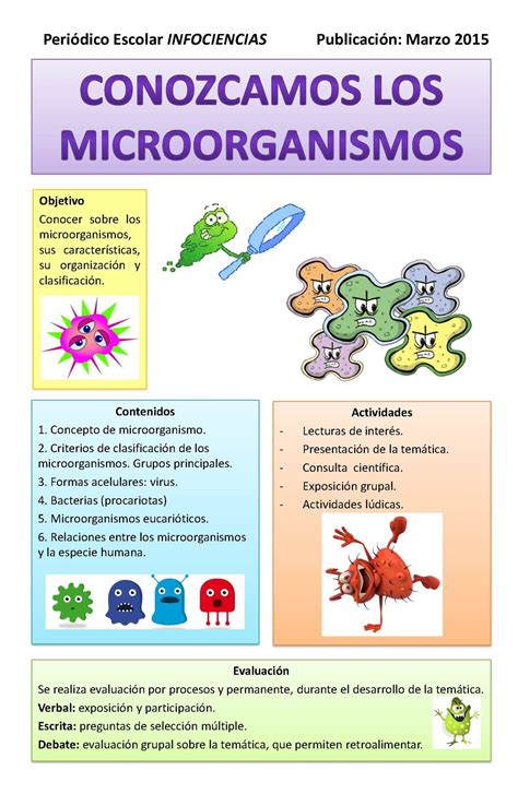 Que Son Los Microorganismos Clasificacion Caracteristicas Y Tipos Images Images