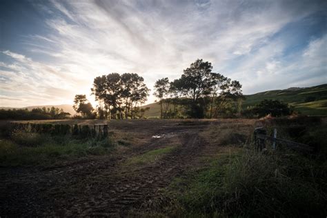 Free Images Landscape Tree Nature Grass Horizon Cloud Sky Sunset Field Sunlight