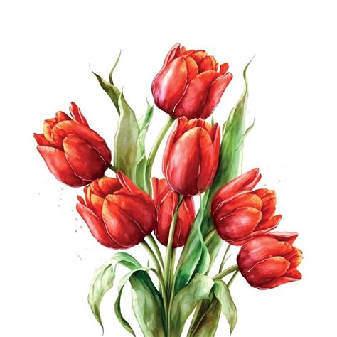 Illustration Of Watercolor Hand Drawn Set Of Colorful Red Tulips