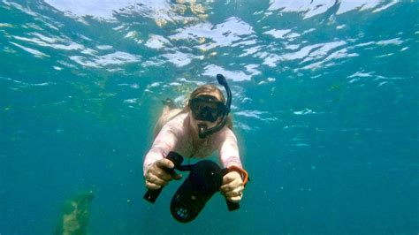 Oahu Waikiki Jet Snorkeling Tour With Videos And Turtles GetYourGuide