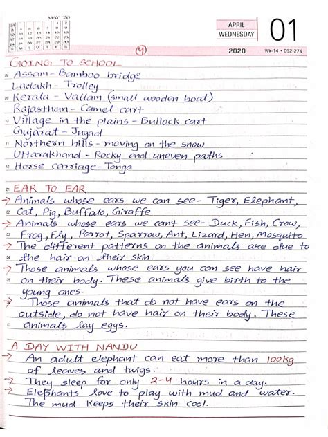 Evs Notes in English Handwritten | PDF 