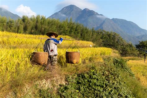 Shan Shui Initiative Un Decade On Restoration