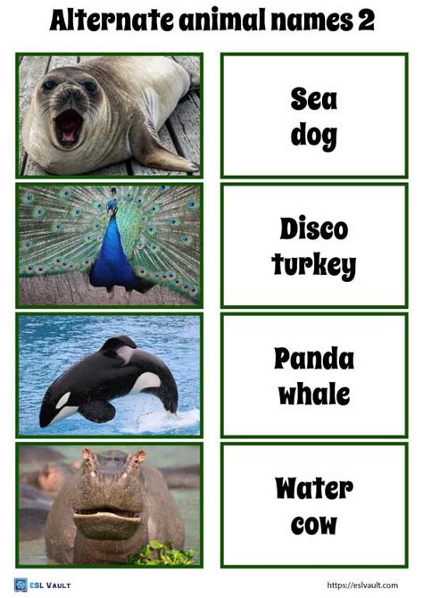 40 funny alternate animal names game - ESL Vault