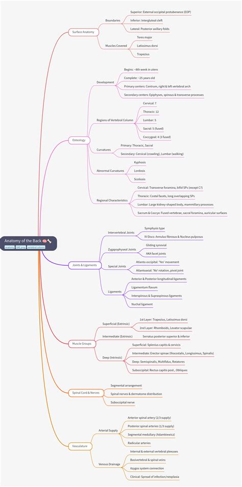 anatomy     comprehensive guide