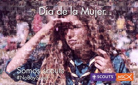 D A De La Mujer Scouts Msc