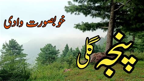 Panja Gali Mansehra KPK Road Trip Most Beautiful Valley Of Pakistan