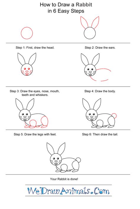 Draw Rabbit Easy Steps Sale Online