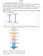 Module Study Guide Answers Docx Module Distinguish Between