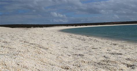 Australia Visitare Shark Bay Evaneos