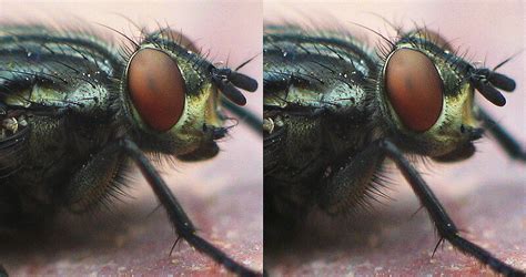 Красивые стереопары (70 фото + видео) : vitaly80 — LiveJournal