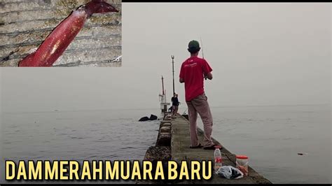 Survei Dam Merah Muara Baru Sambil Mancing Cumi Pagi Pagi Youtube