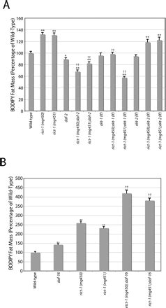 Rictor Torc Regulates Fat Metabolism Feeding Growth And Life Span