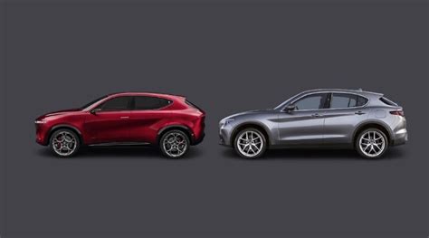 Alfa Romeo Tonale E Stelvio Muletti A Confronto Auto It