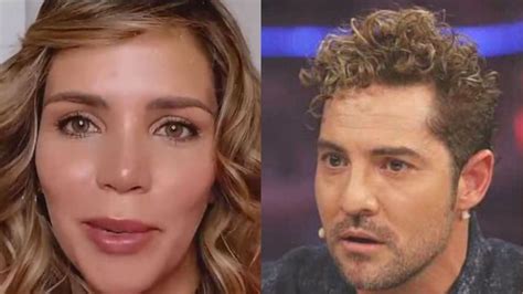 David Bibal Desvela El Dato Que Derrumba A Rosanna Zanetti Diario Show