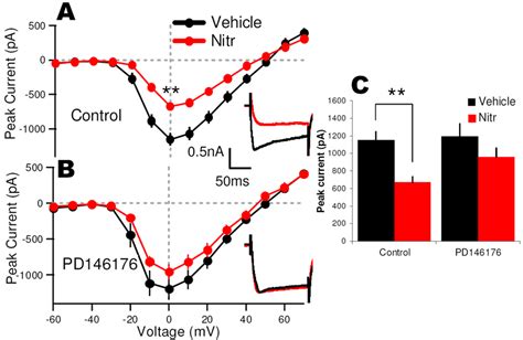 Pharmacological Blockade Of Lo Reduces The Macroscopic Ltcc Current