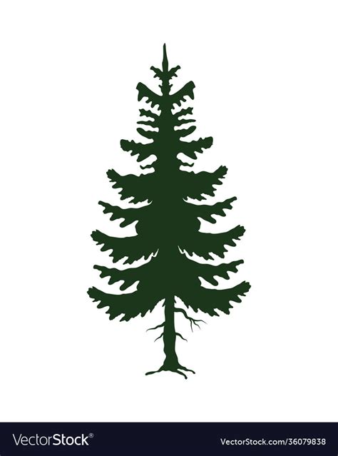 Green leafy pine tree silhouette Royalty Free Vector Image