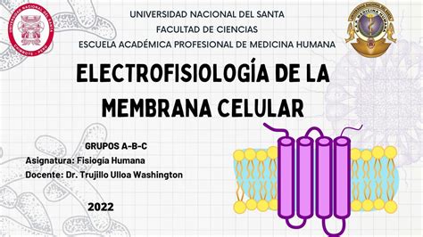 Electrofisiolog A De La Membrana Celular Udocz