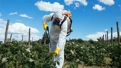 Quais são e como utilizar os EPIs para aplicação de defensivos agrícolas